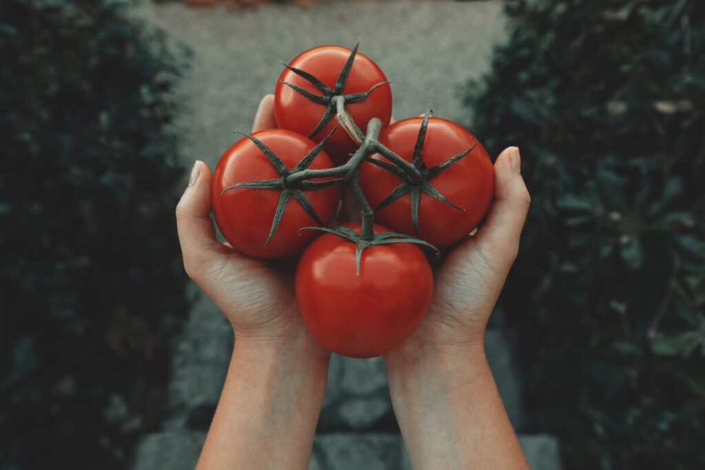 ダイエットは なにを、どれだけ、いつ、どのように食べるか の習慣改善【太りづらい食べ方８選】