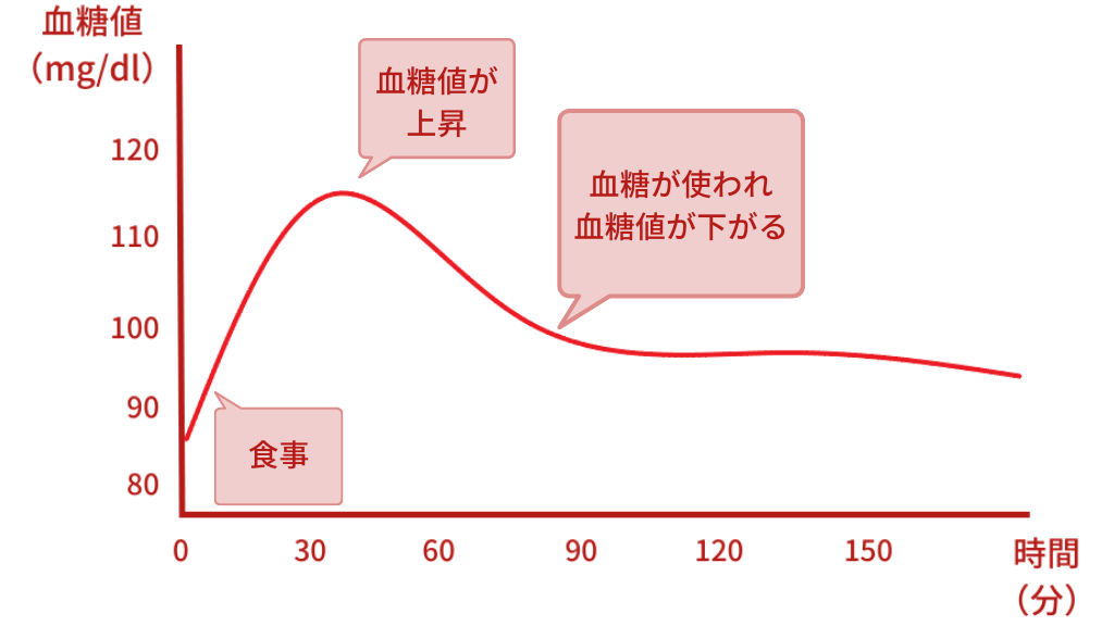 血糖値と脂肪の関係（血糖値が下降）