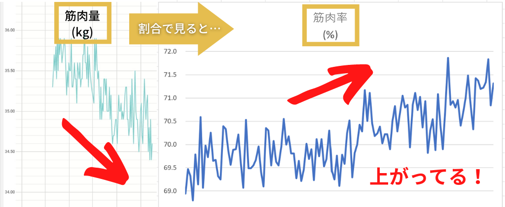 TANITA（タニタ）インナースキャンデュアル916Lレビュー｜ダイエット効果や917Lとの違いは？