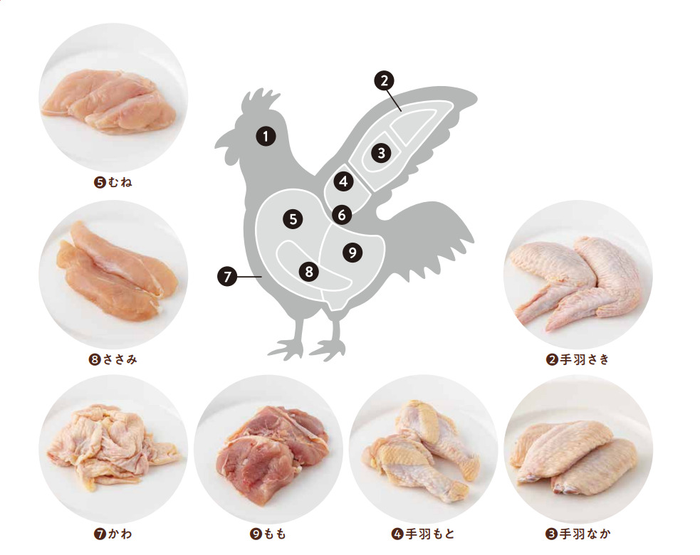 鶏肉を部位別にカロリー比較！ダイエットに向いている部位はどこ？